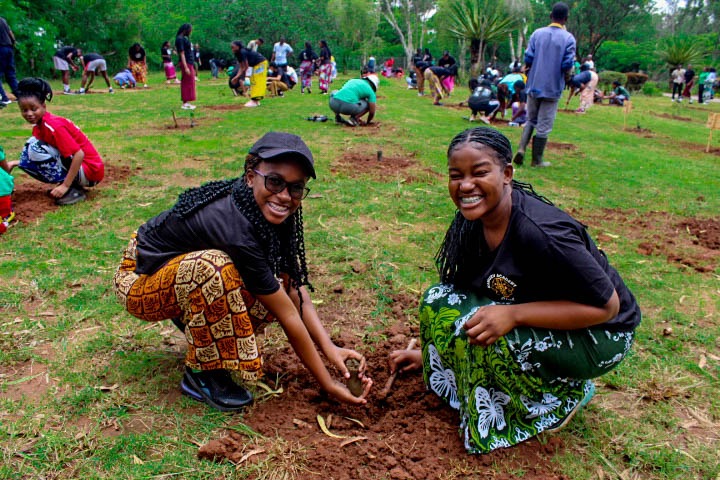 Kamuzu Academy Annual Tree Planting exercise 2025 - Image 8